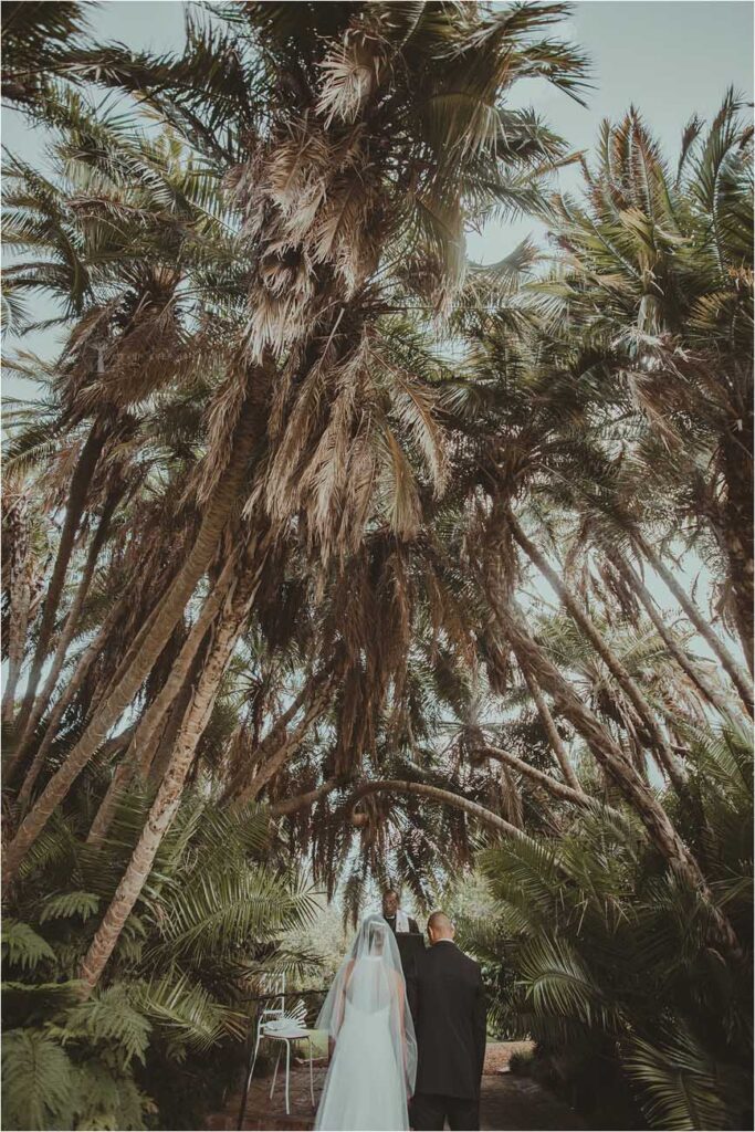 Aimée & John - Cape Town Wedding