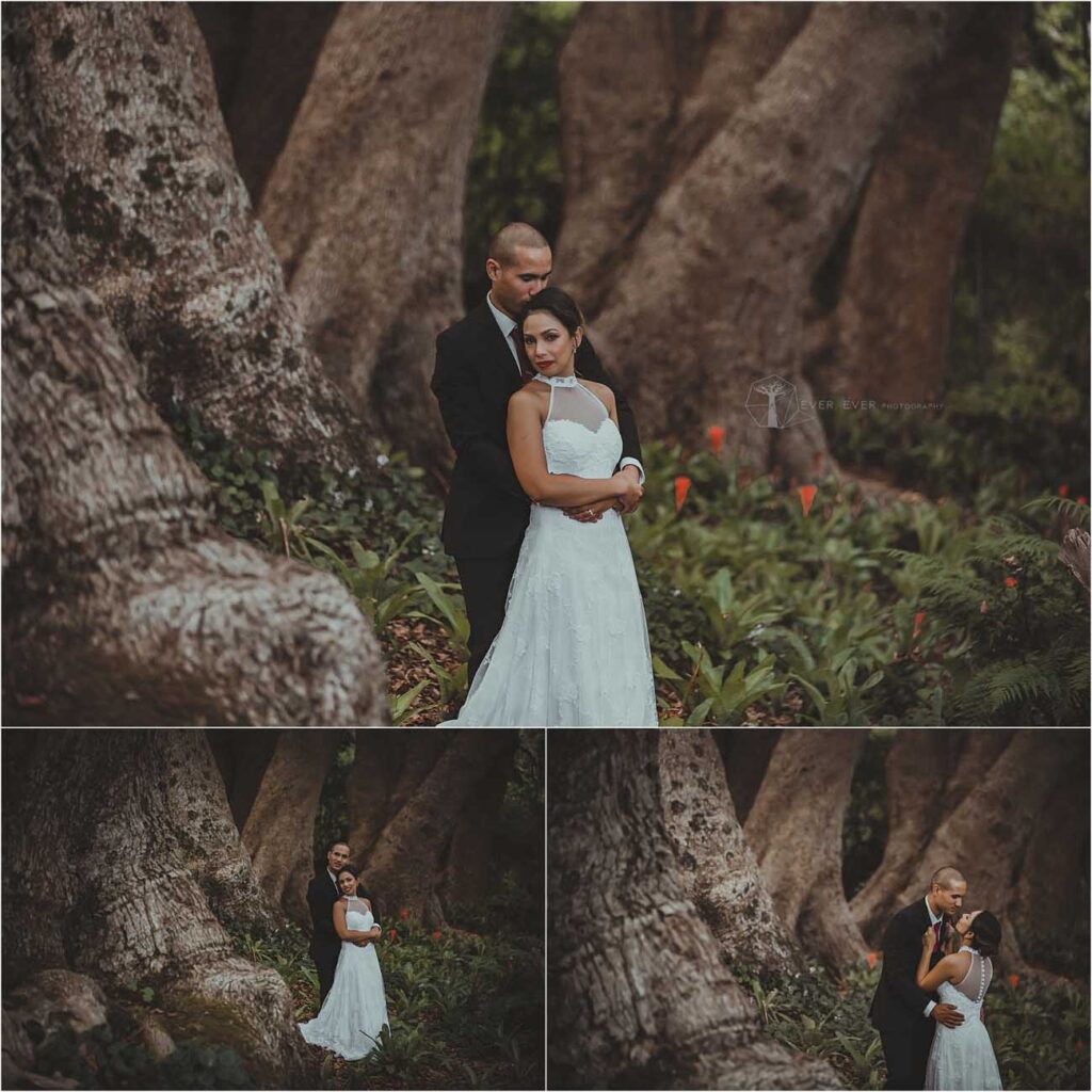 Aimée & John - Cape Town Wedding