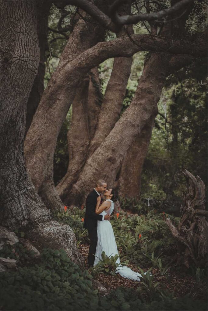 Aimée & John - Cape Town Wedding