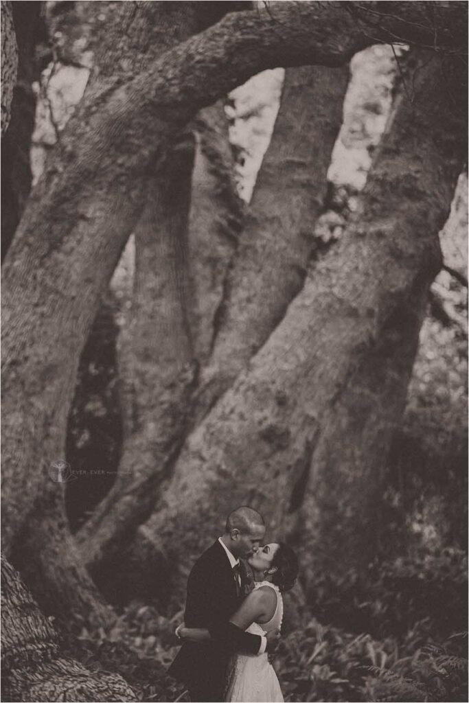 Aimée & John - Cape Town Wedding