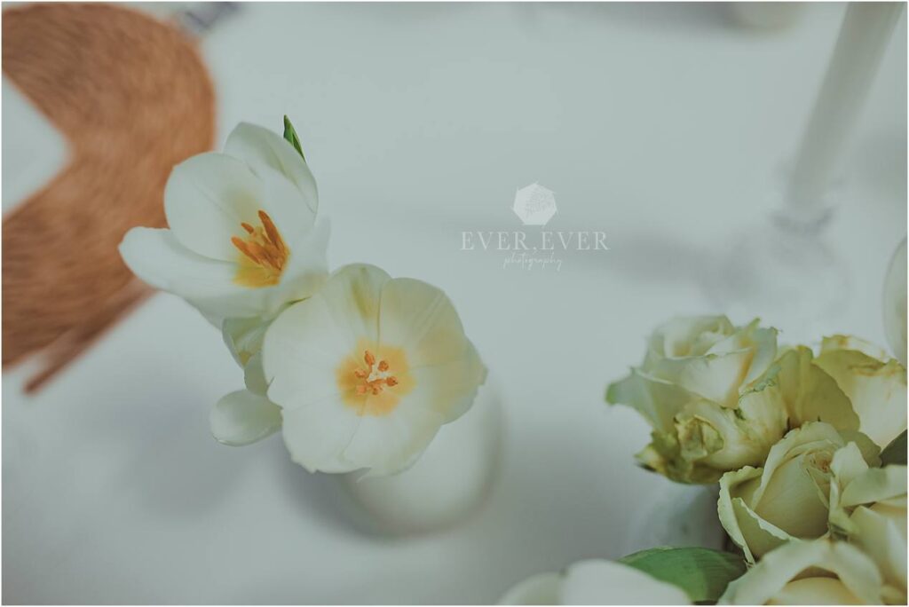 Elsjelie and Reinhard