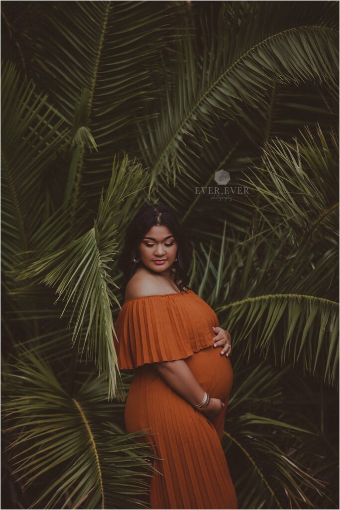 Eden-Jade Maternity Shoot in the Helderberg