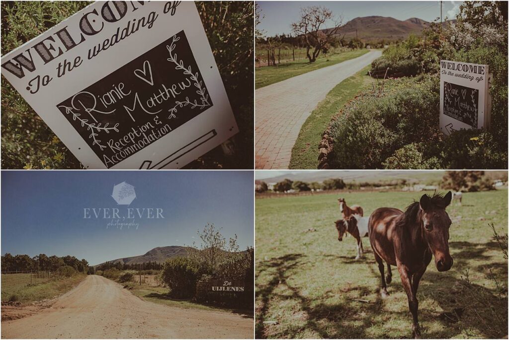 Rianie and Matthew - Gansbaai Wedding