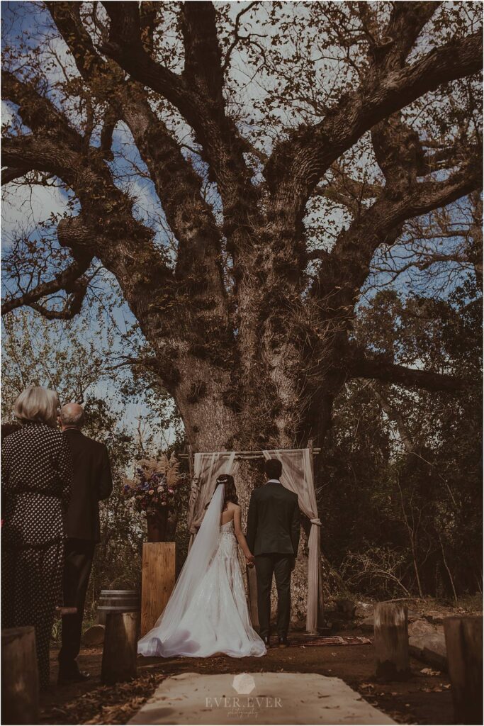 Rianie and Matthew - Gansbaai Wedding