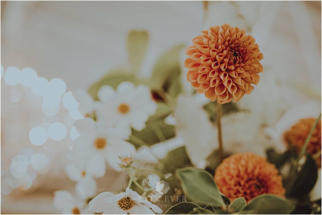 Carmen and Neale Franschhoek Wedding