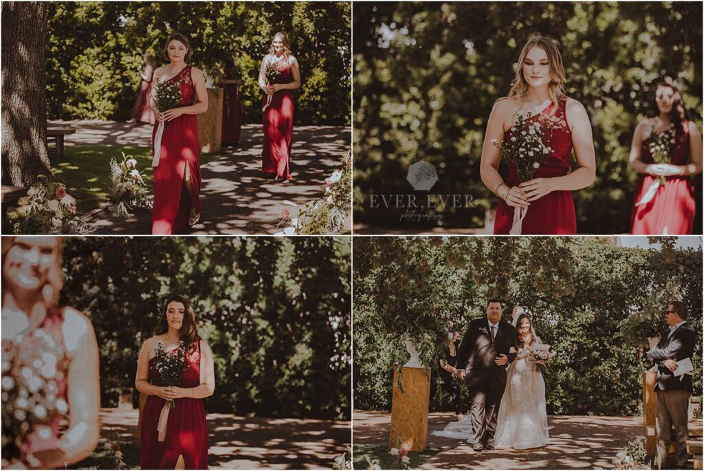 Carmen and Neale Franschhoek Wedding