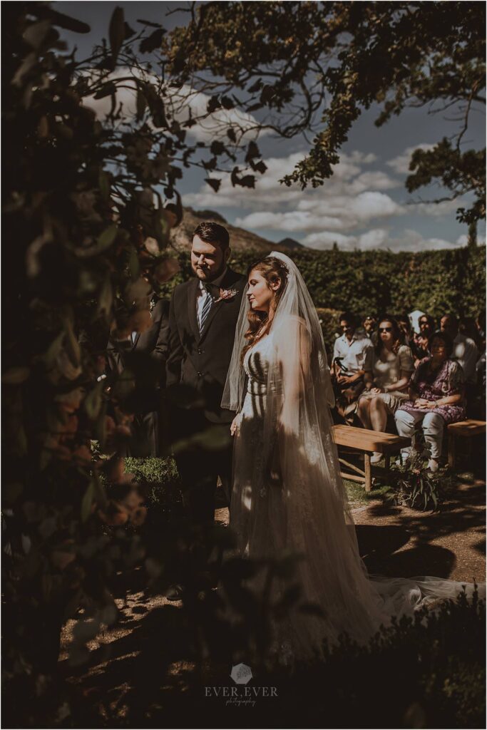 Carmen and Neale Franschhoek Wedding