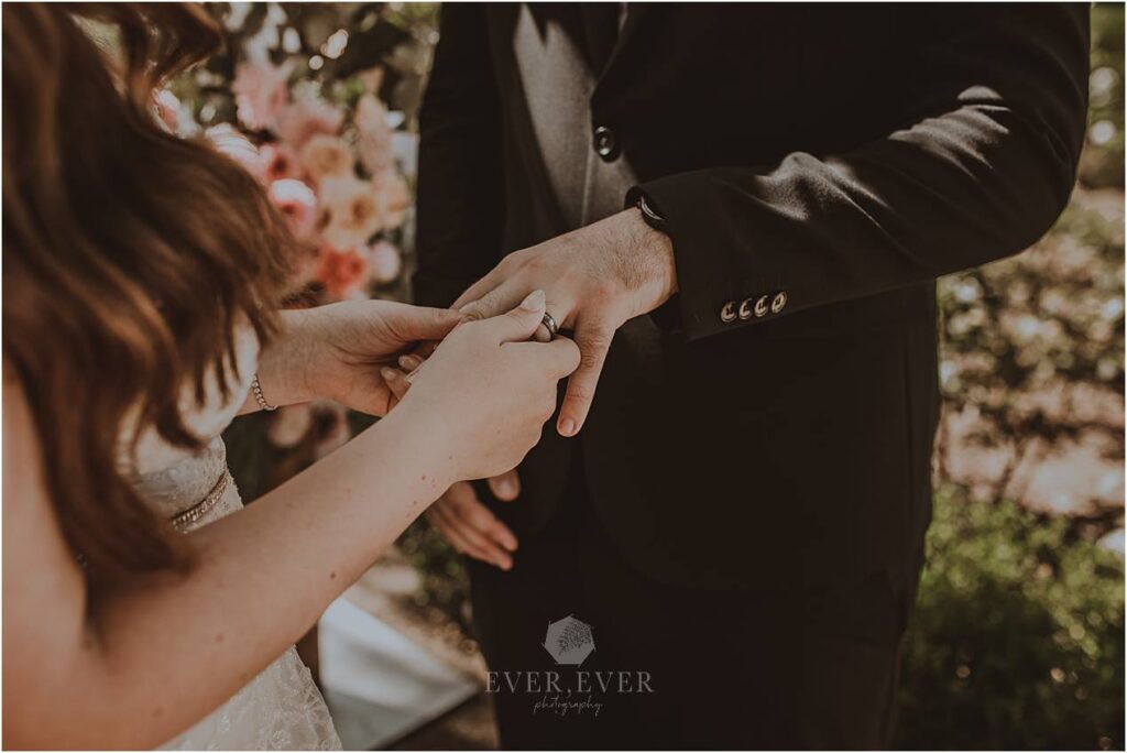 Carmen and Neale Franschhoek Wedding
