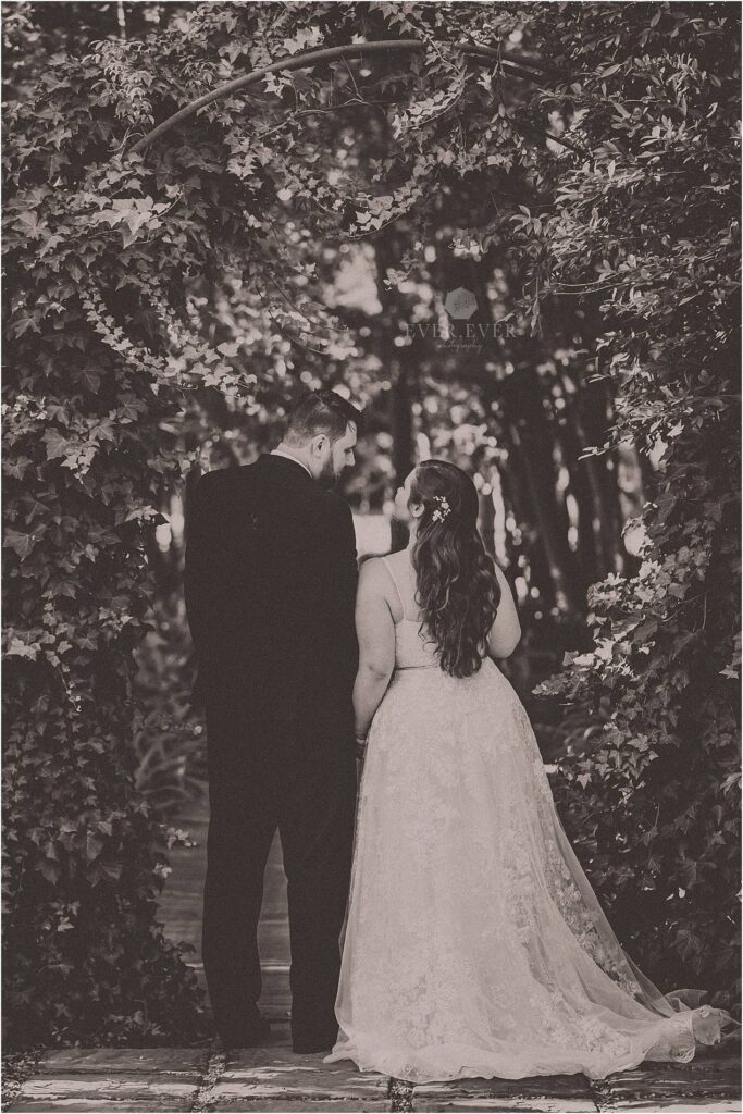 Carmen and Neale Franschhoek Wedding