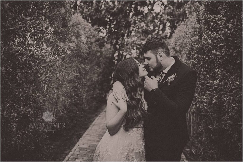 Carmen and Neale Franschhoek Wedding