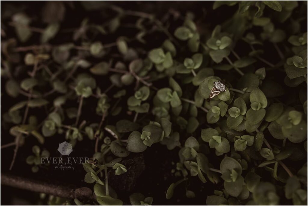 bride getting ready wedding stellenbosch