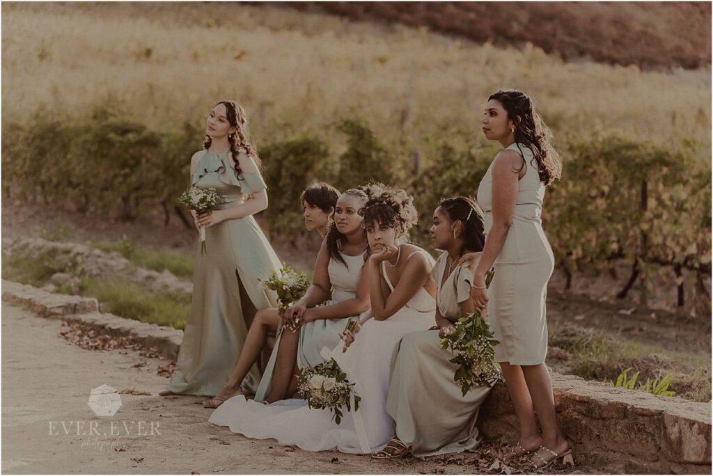 bridal party stellenbosch wedding photographers