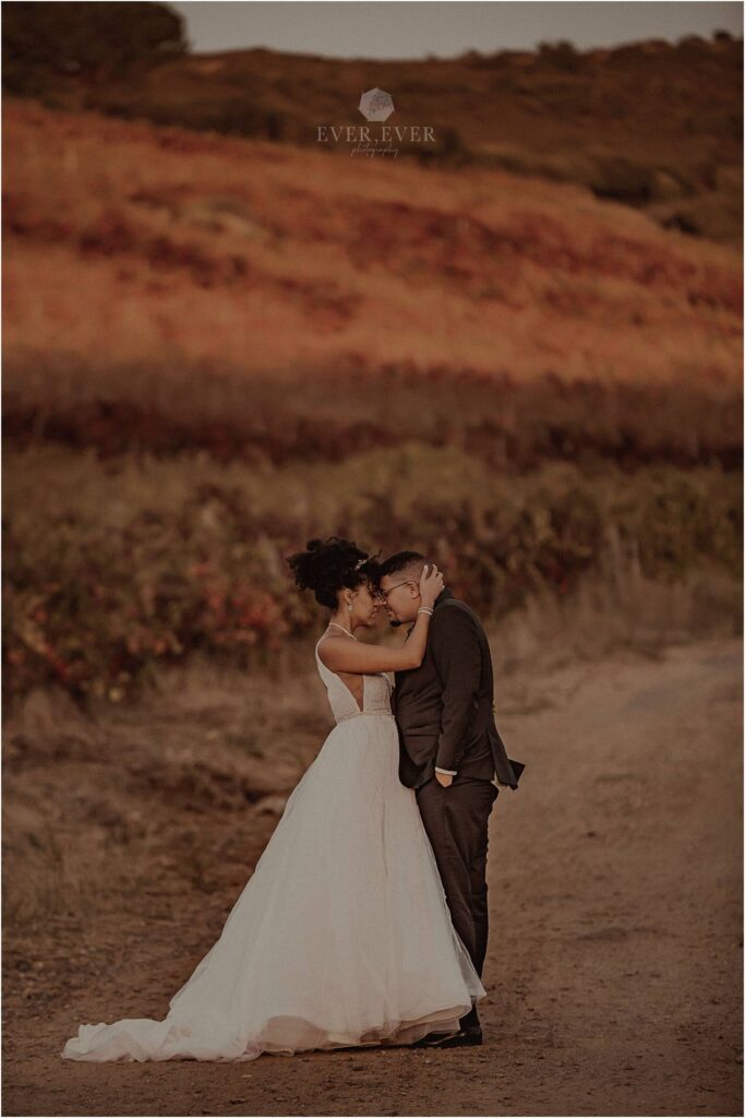 couple shoot wedding cape town wedding photographer