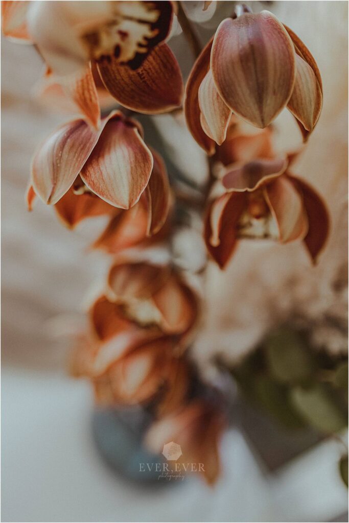 Wedding decor flowers cape town photography